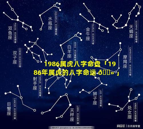 1986属虎八字命盘「1986年属虎的八字命运 🌻 」